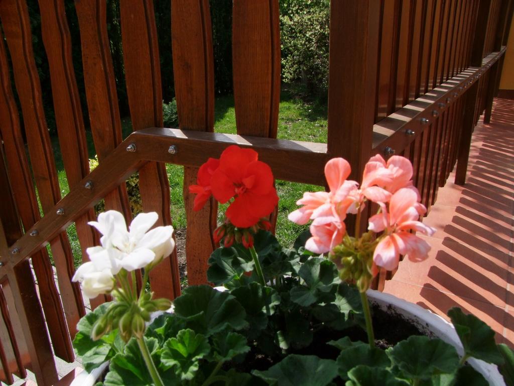 Rajna Vendeghaz Villa Bogács Buitenkant foto